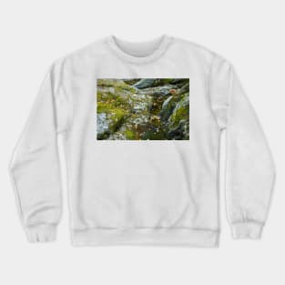 Mossy Rocks at Texas Falls Crewneck Sweatshirt